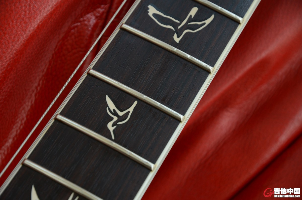 PRS (22).JPG