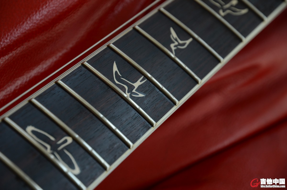PRS (24).JPG
