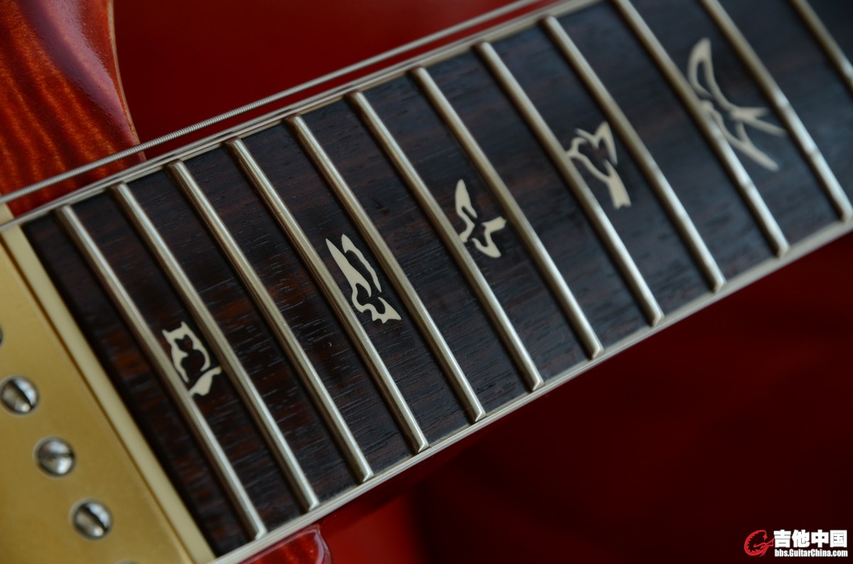 PRS (26).JPG