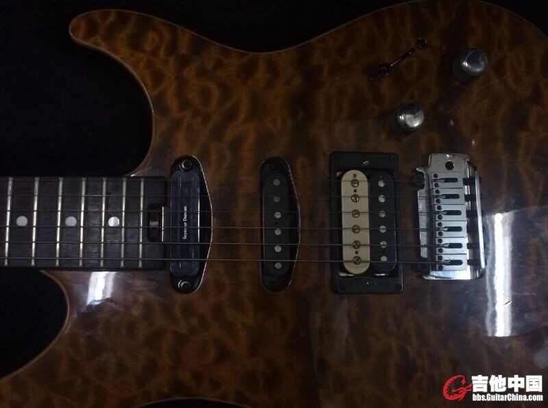Peavey 2.jpg