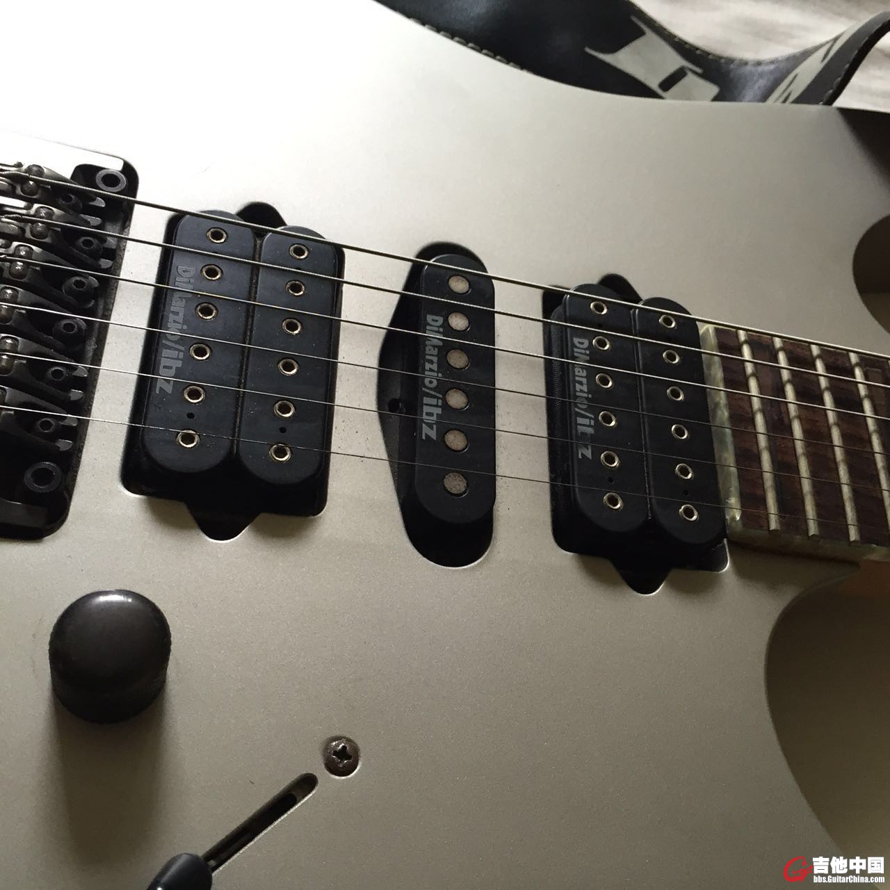 IBANEZ73.jpg