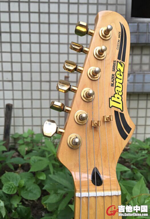 IBANEZ CUSTOM1.jpg