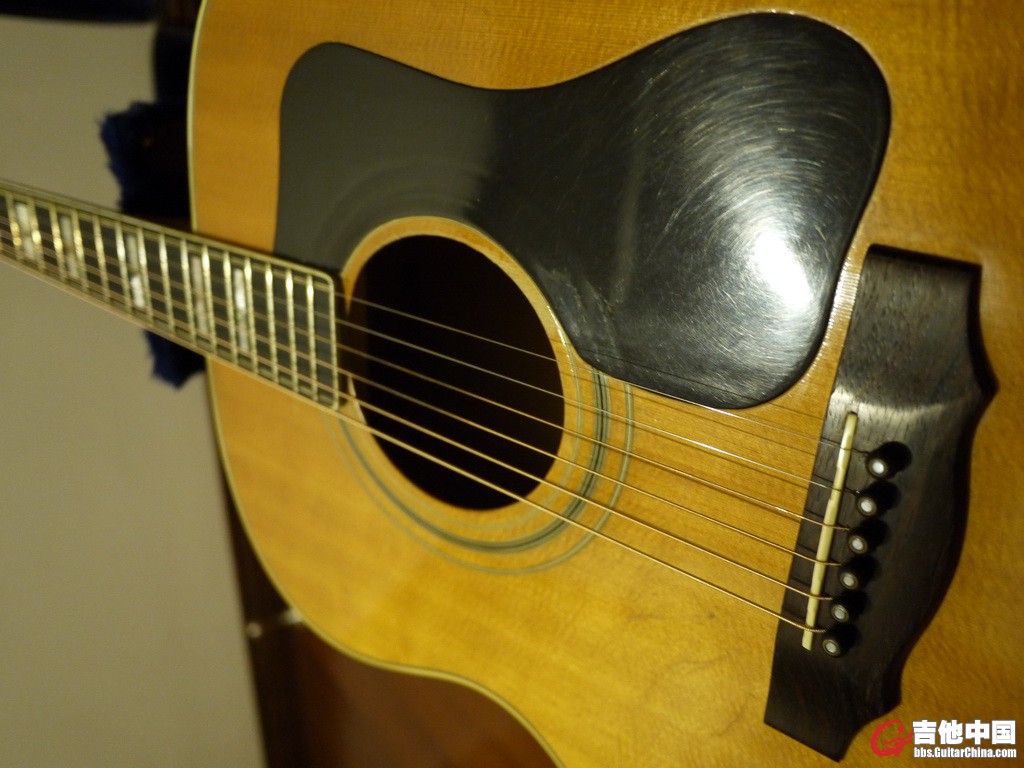 P1180553c.jpg