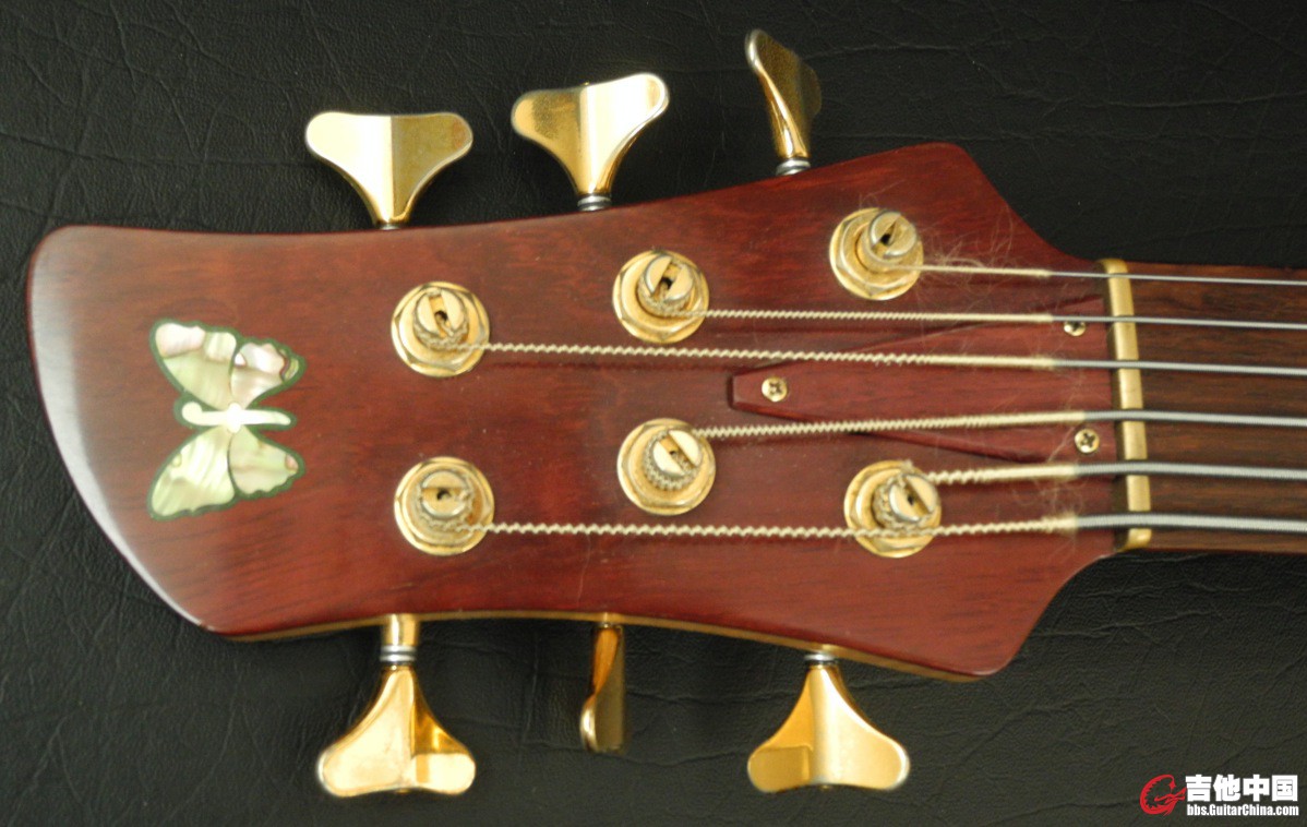 Fodera 6 headstock.jpg