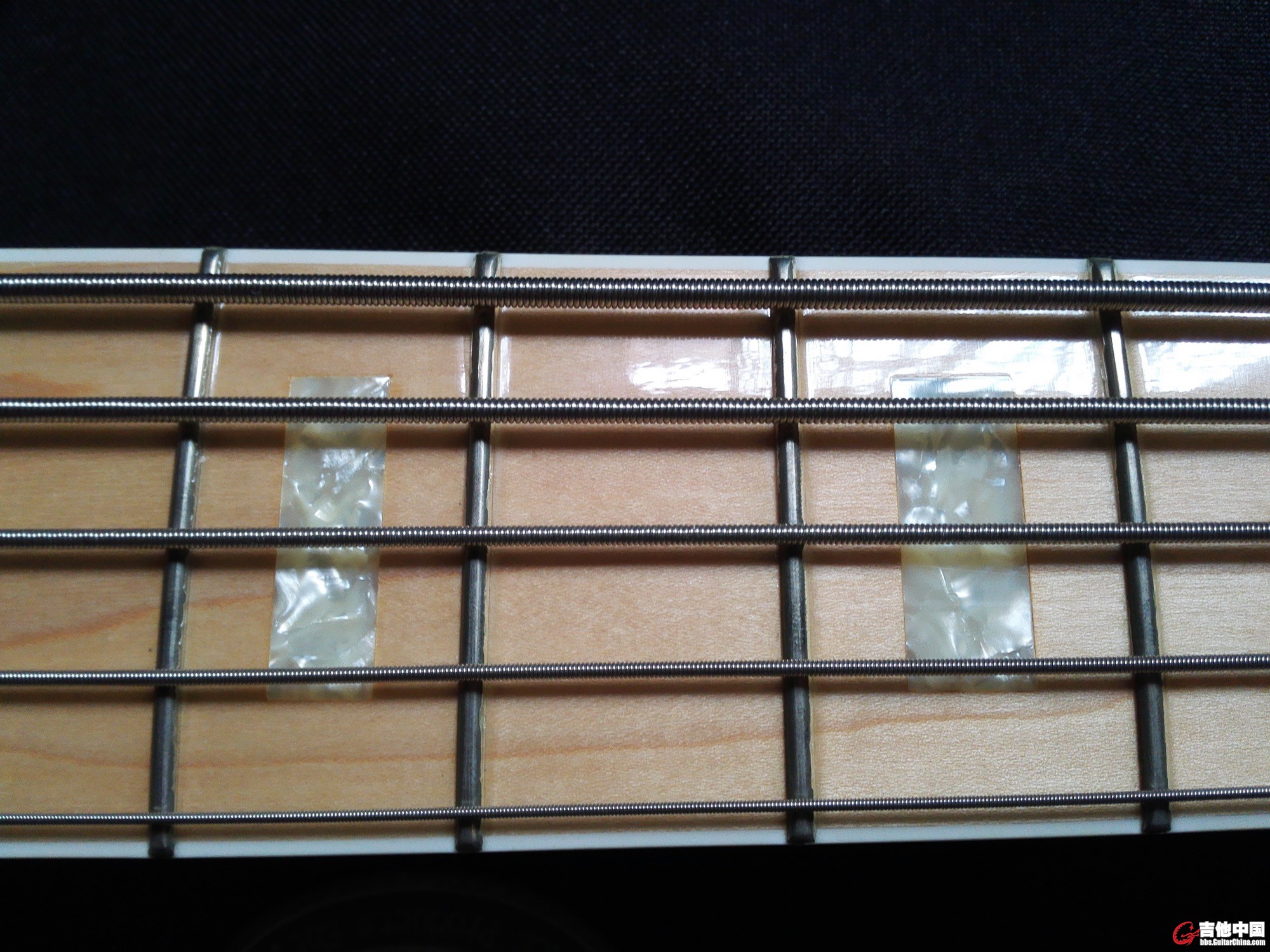 Coppolo fingerboard.jpg