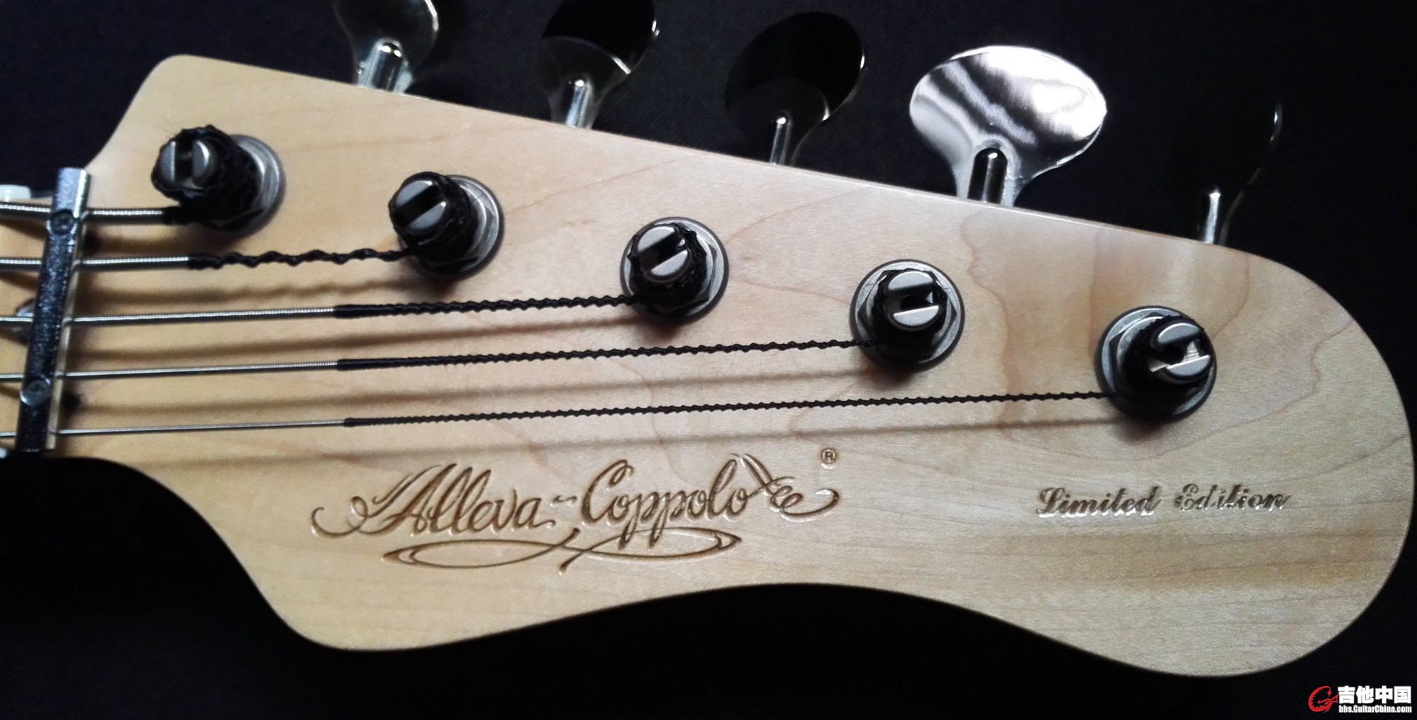 Coppolo headstock.jpg