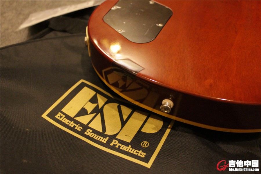 edwards lp108lts-46.jpg