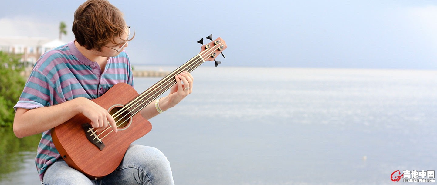 MicroBass 2.jpg