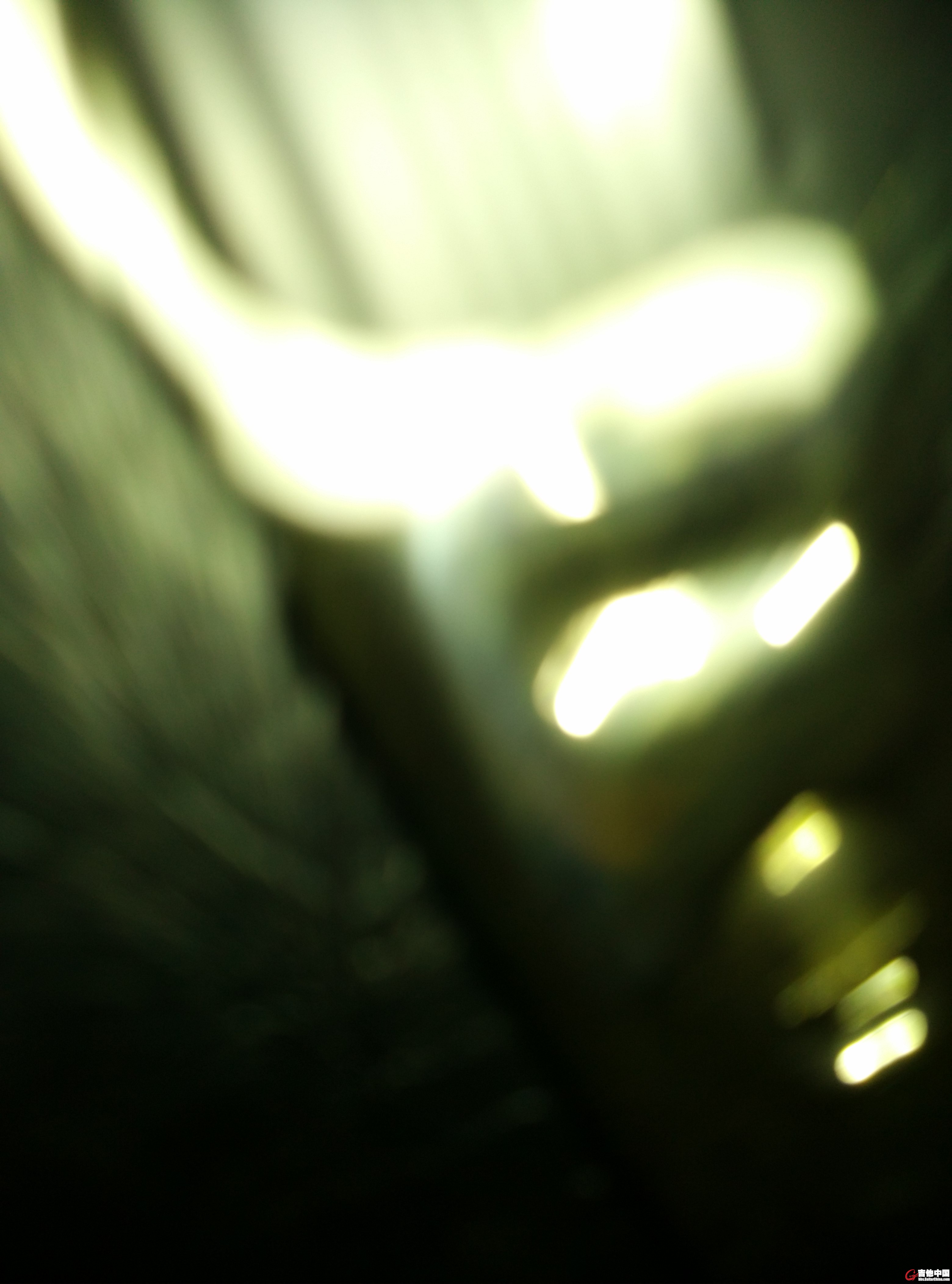 IMG_20150928_193548.jpg
