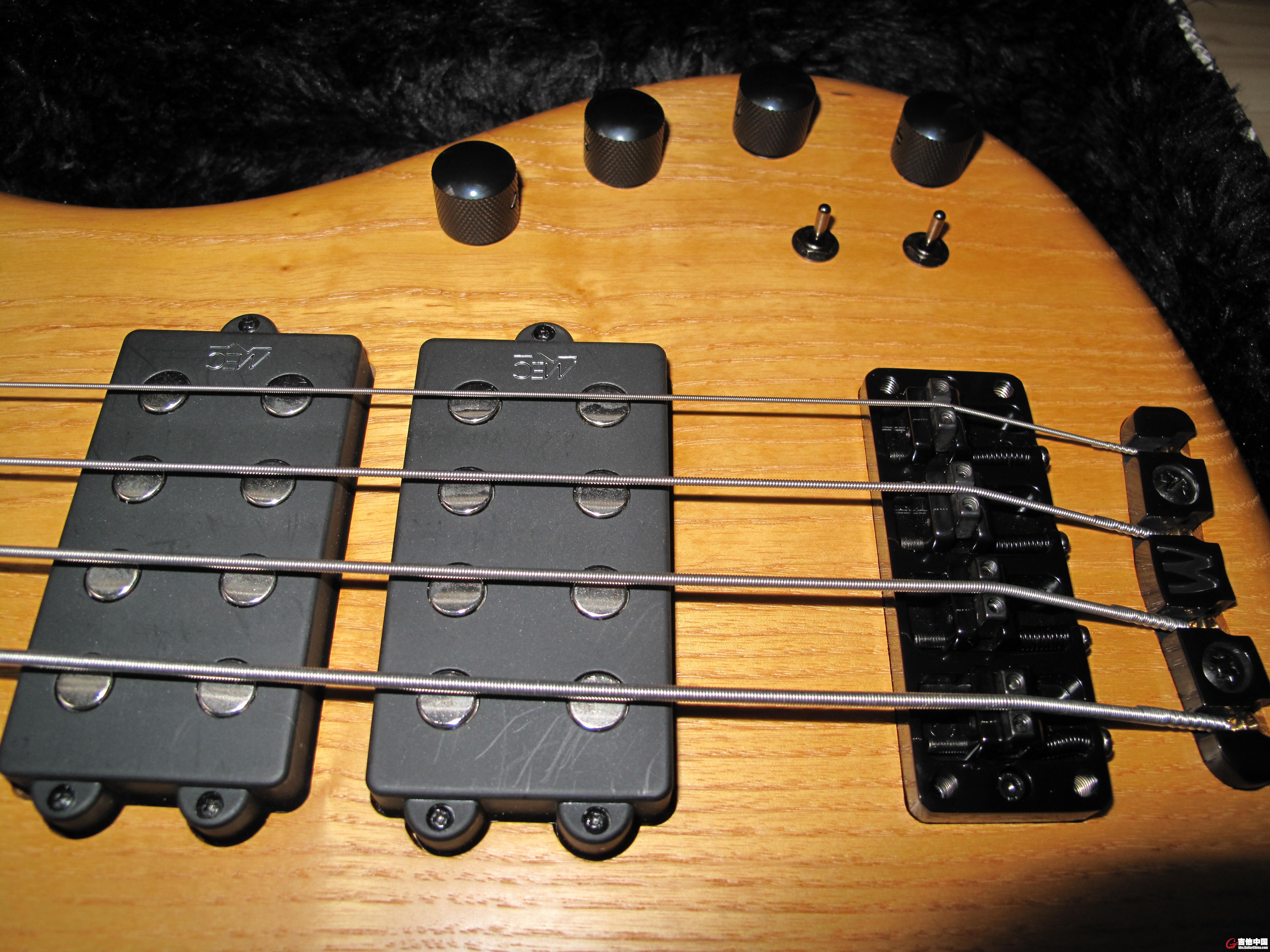 My warwickbass 009.jpg