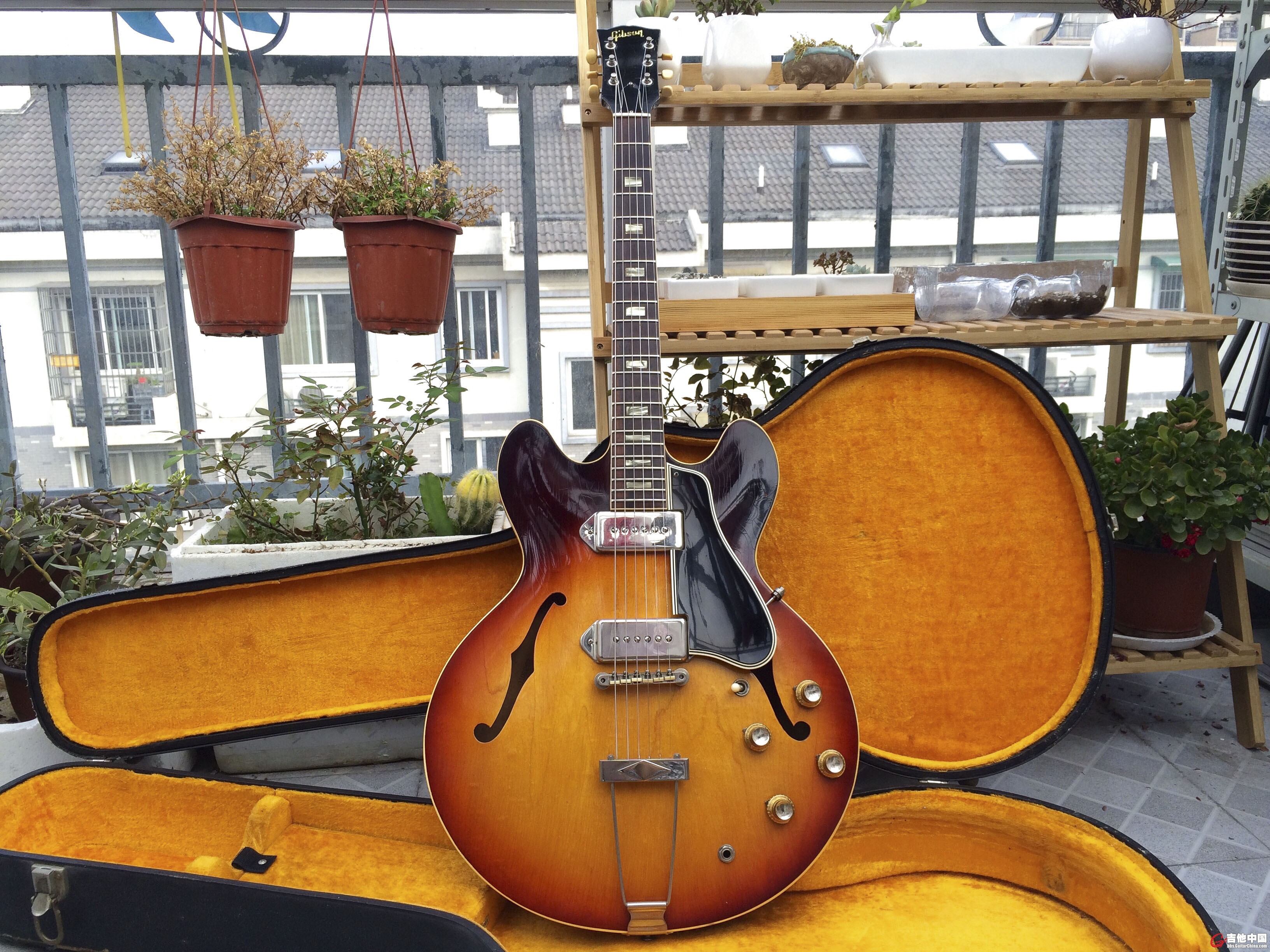 gibson 330 阳台.jpg