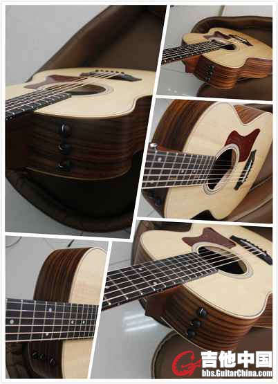 Taylor GS 1