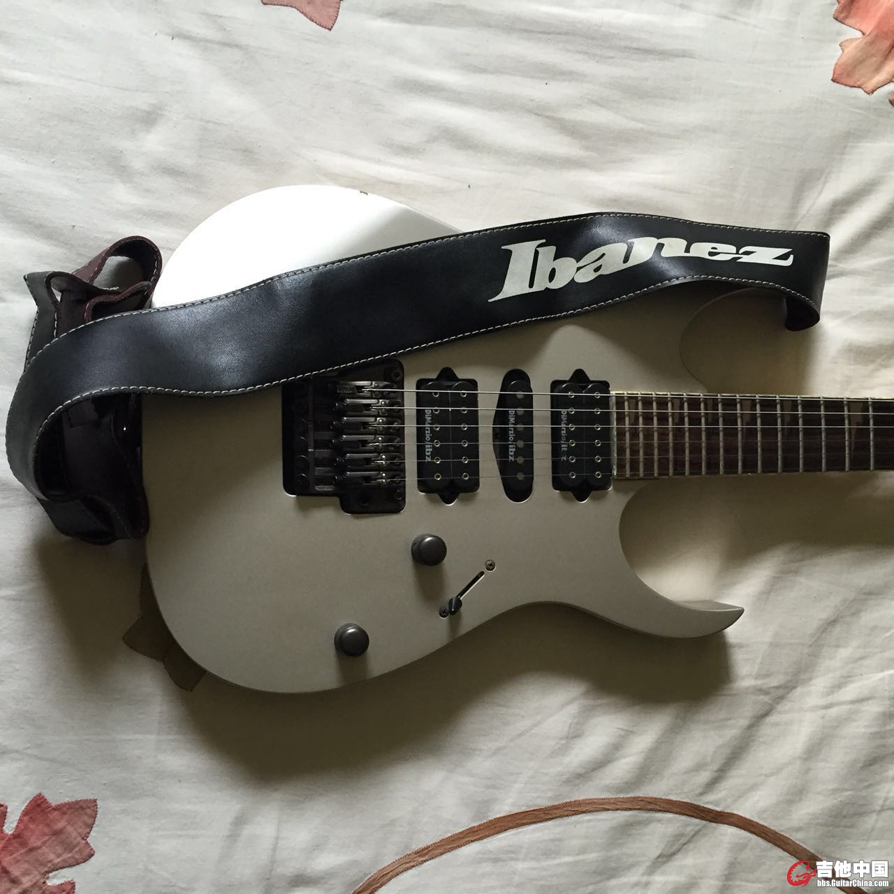 IBANEZ1.jpg