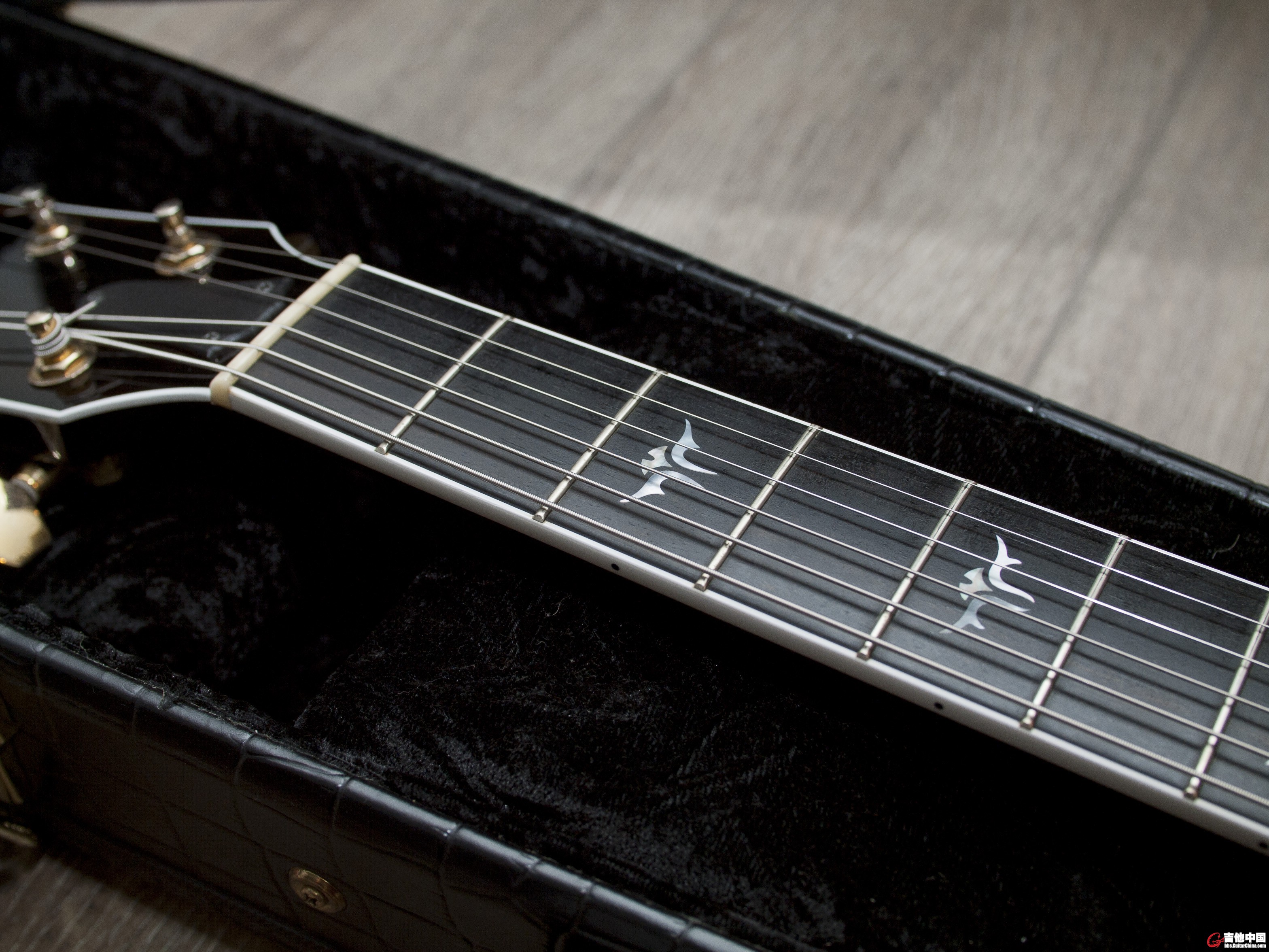 taylor t5 custom-2.jpg