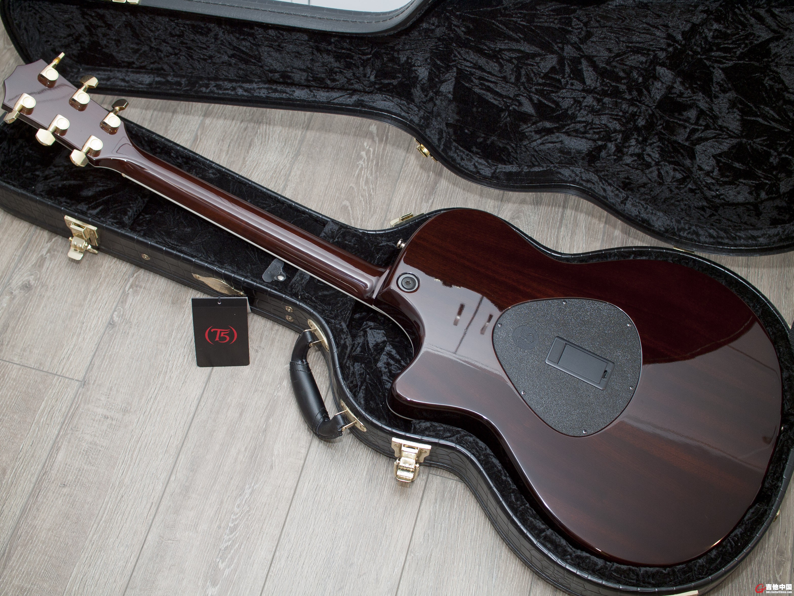 taylor t5 custom-7.jpg