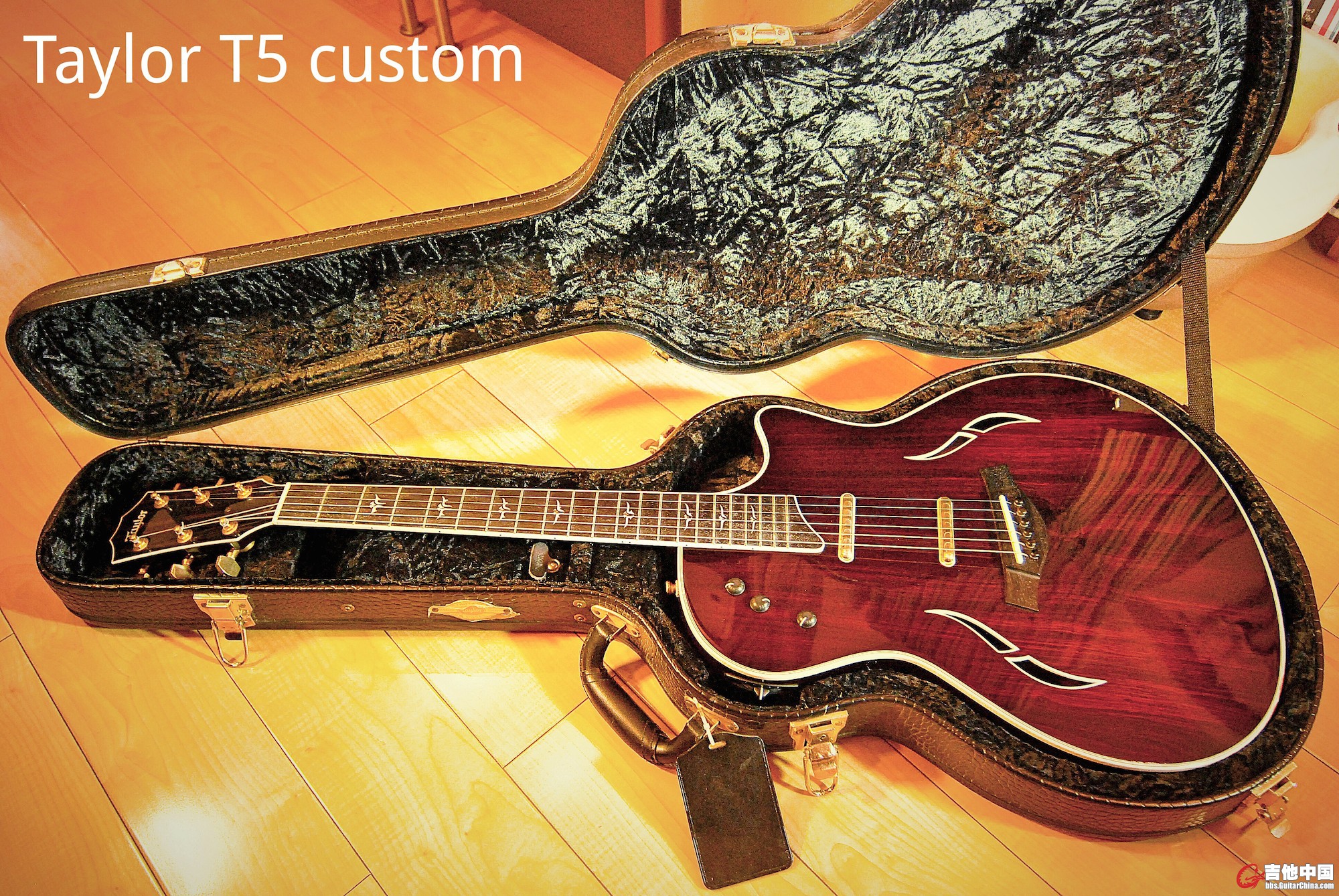 Taylor T5 Custom2