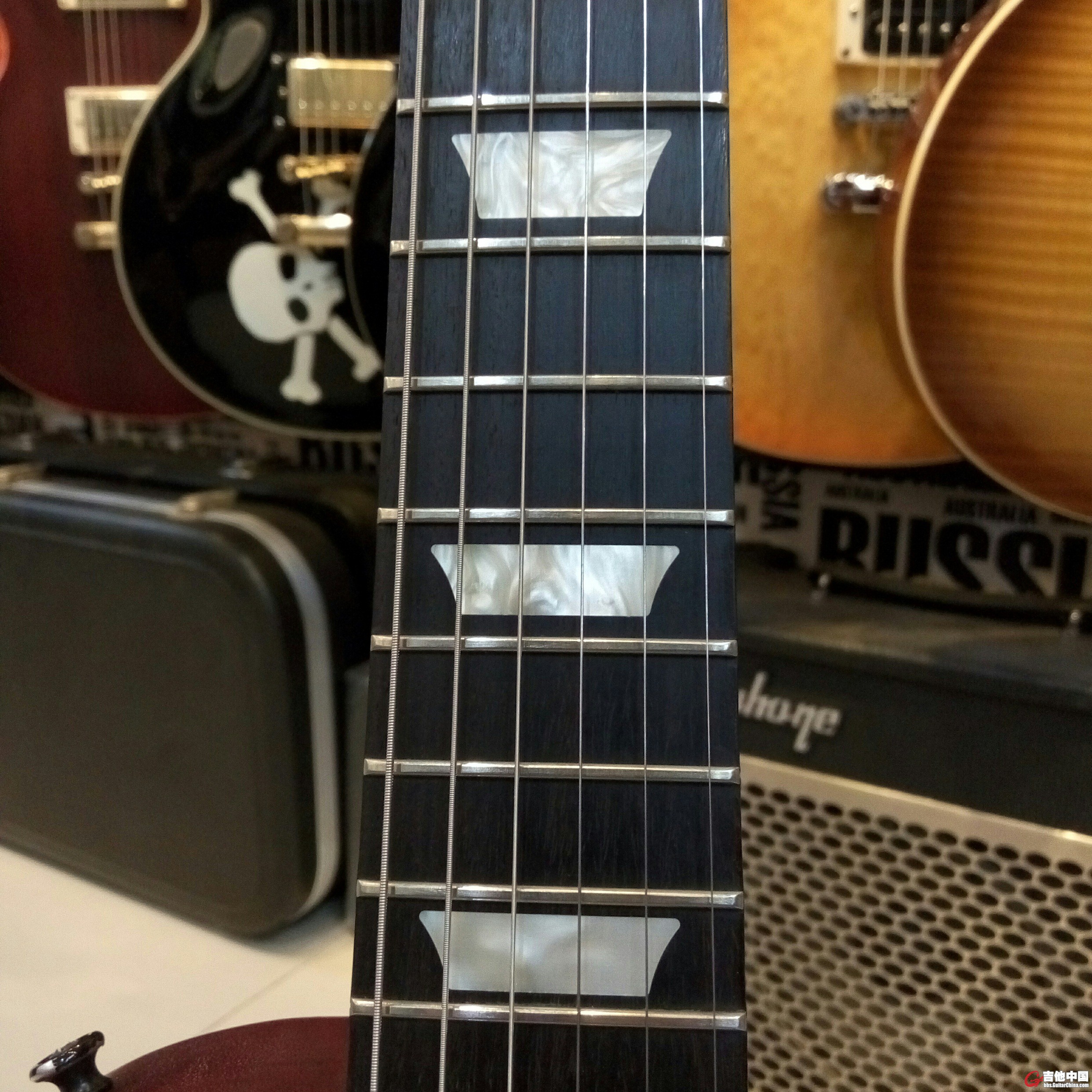 P51119-225047.jpg