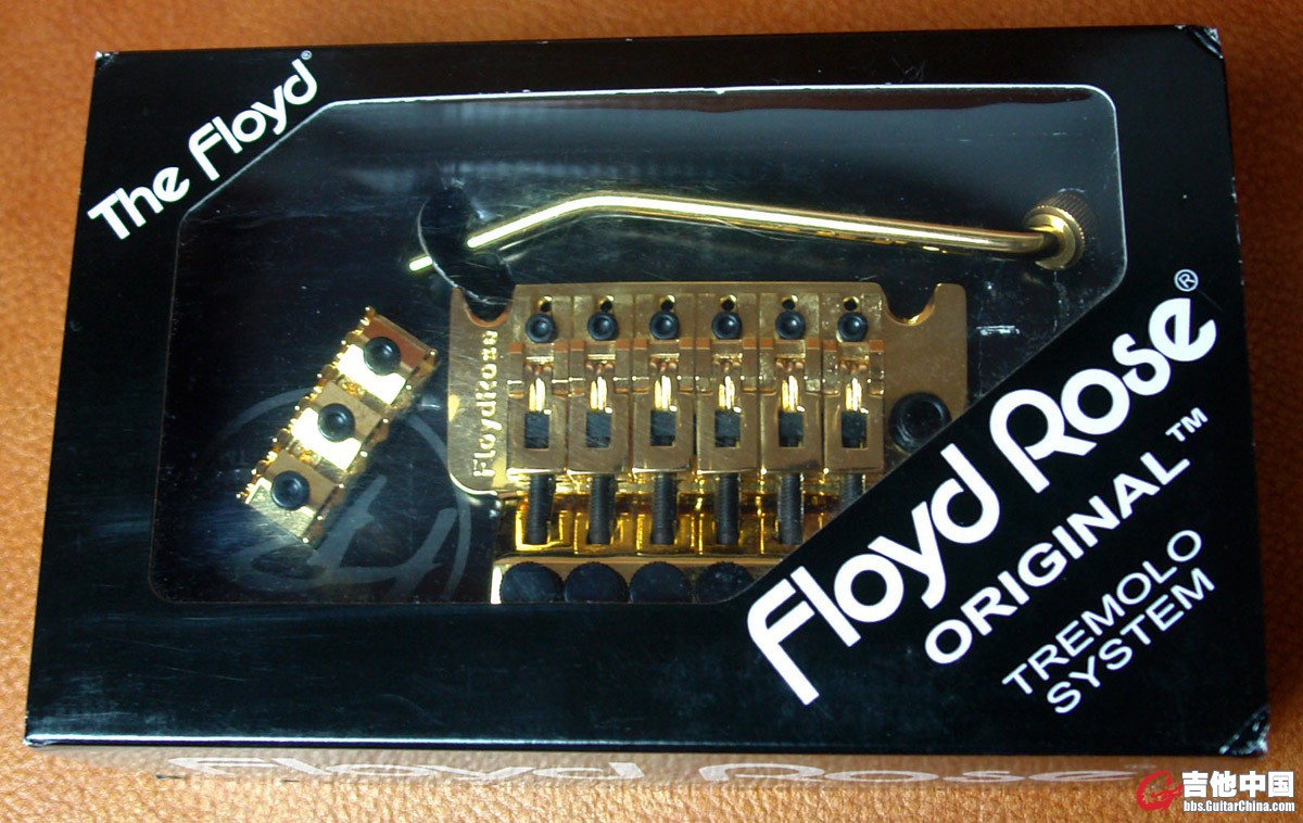 Original Floyd Rose_1.jpg