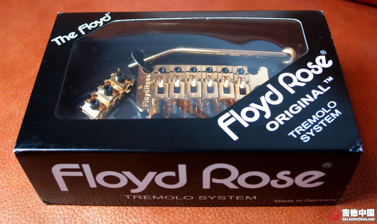 Original Floyd Rose_2.jpg