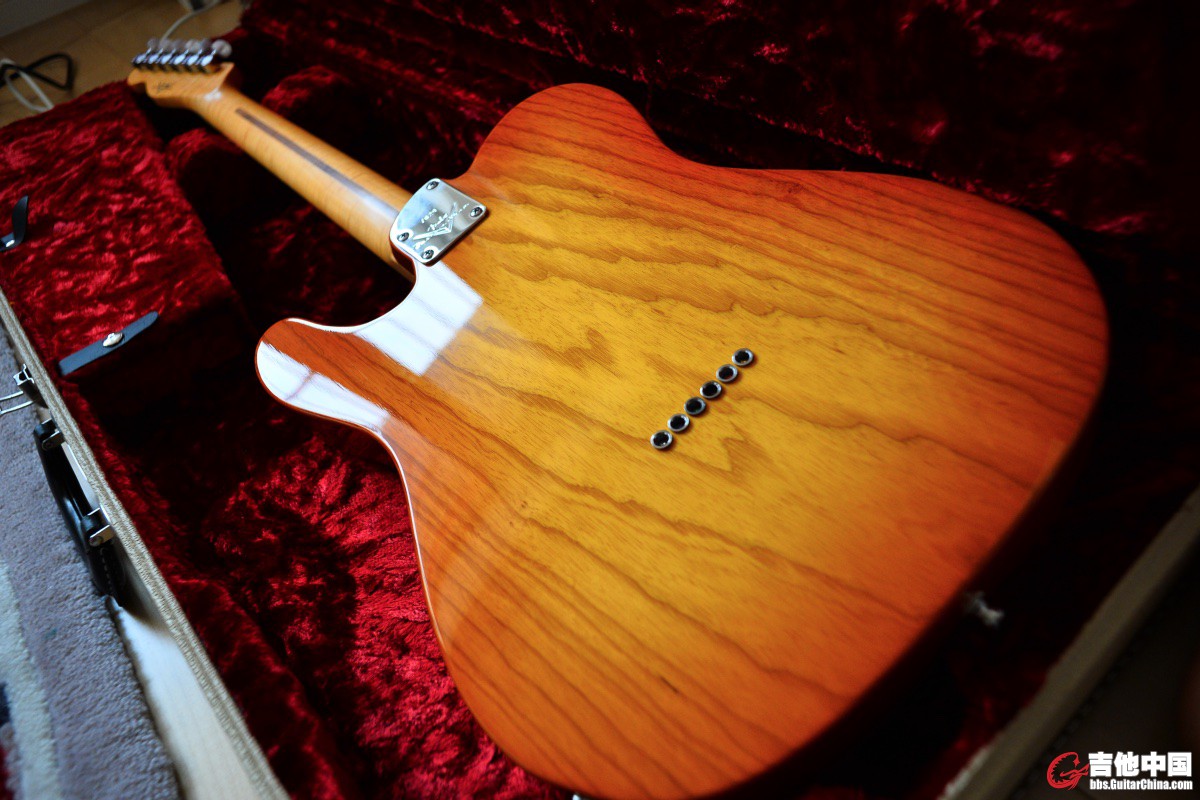 Tele Custom Back.jpg