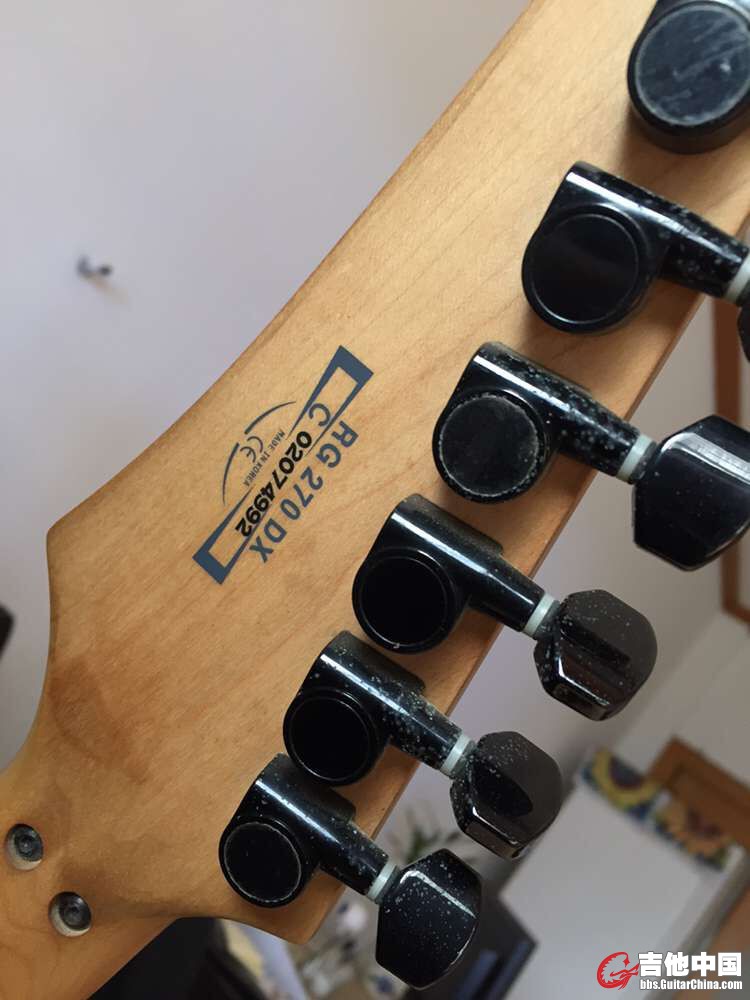 Ibanez 270。.jpg