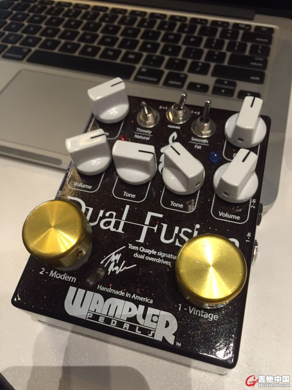 wamplep失真1500元