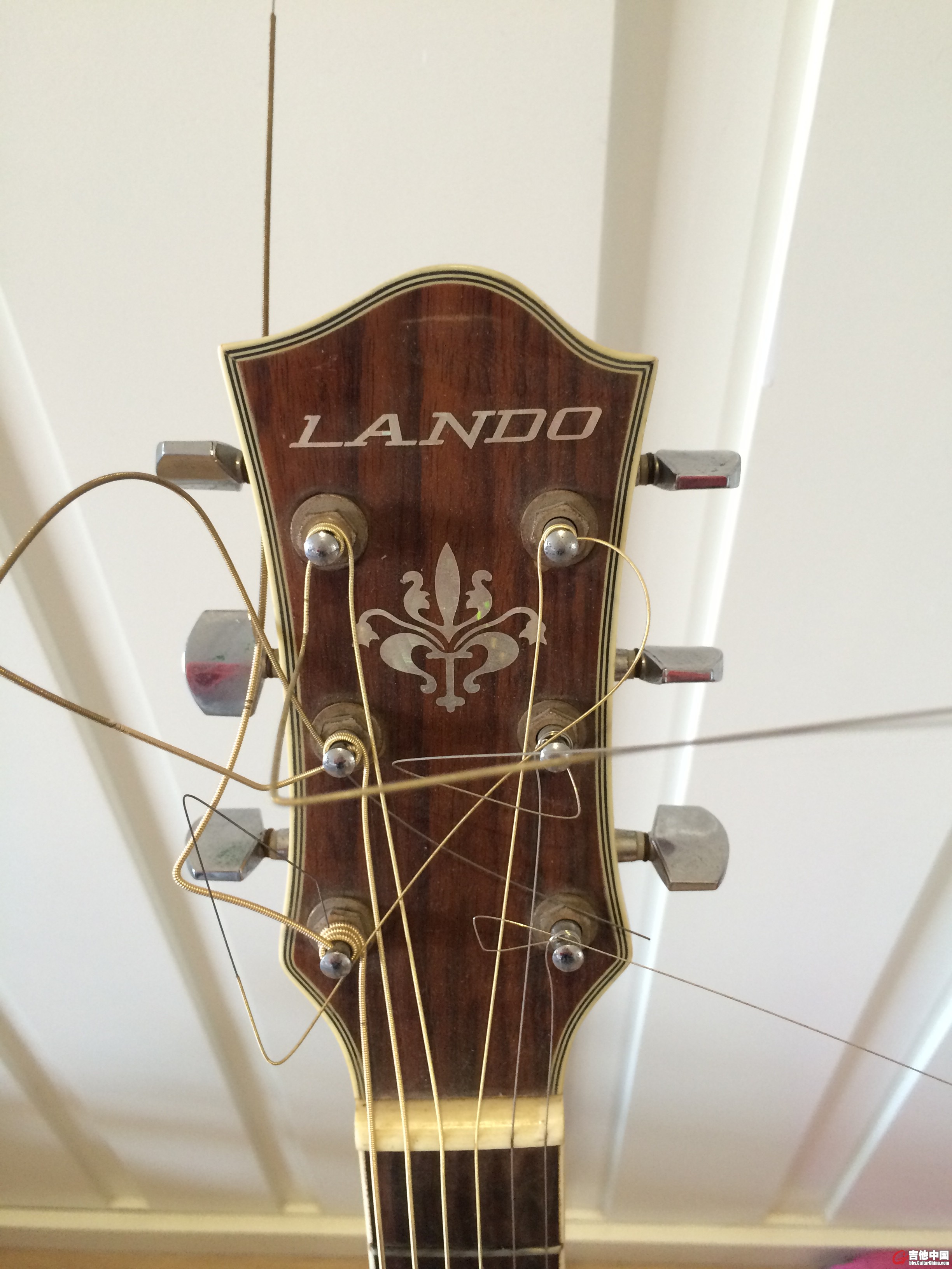 lando电箱木吉他