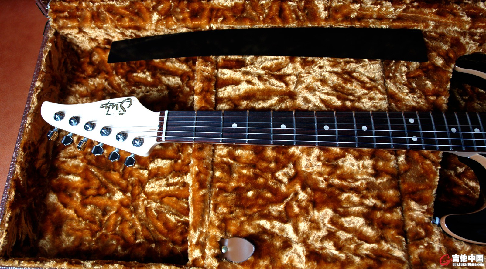 Suhr Carve Top_4.jpg