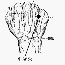 中渚穴.jpg