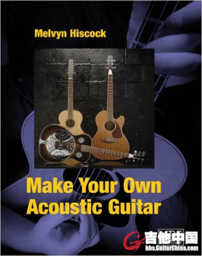 Make Your Own Acoustic Guitar.jpg