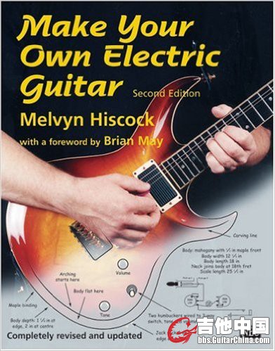 Make Your Own Electric Guitar.jpg