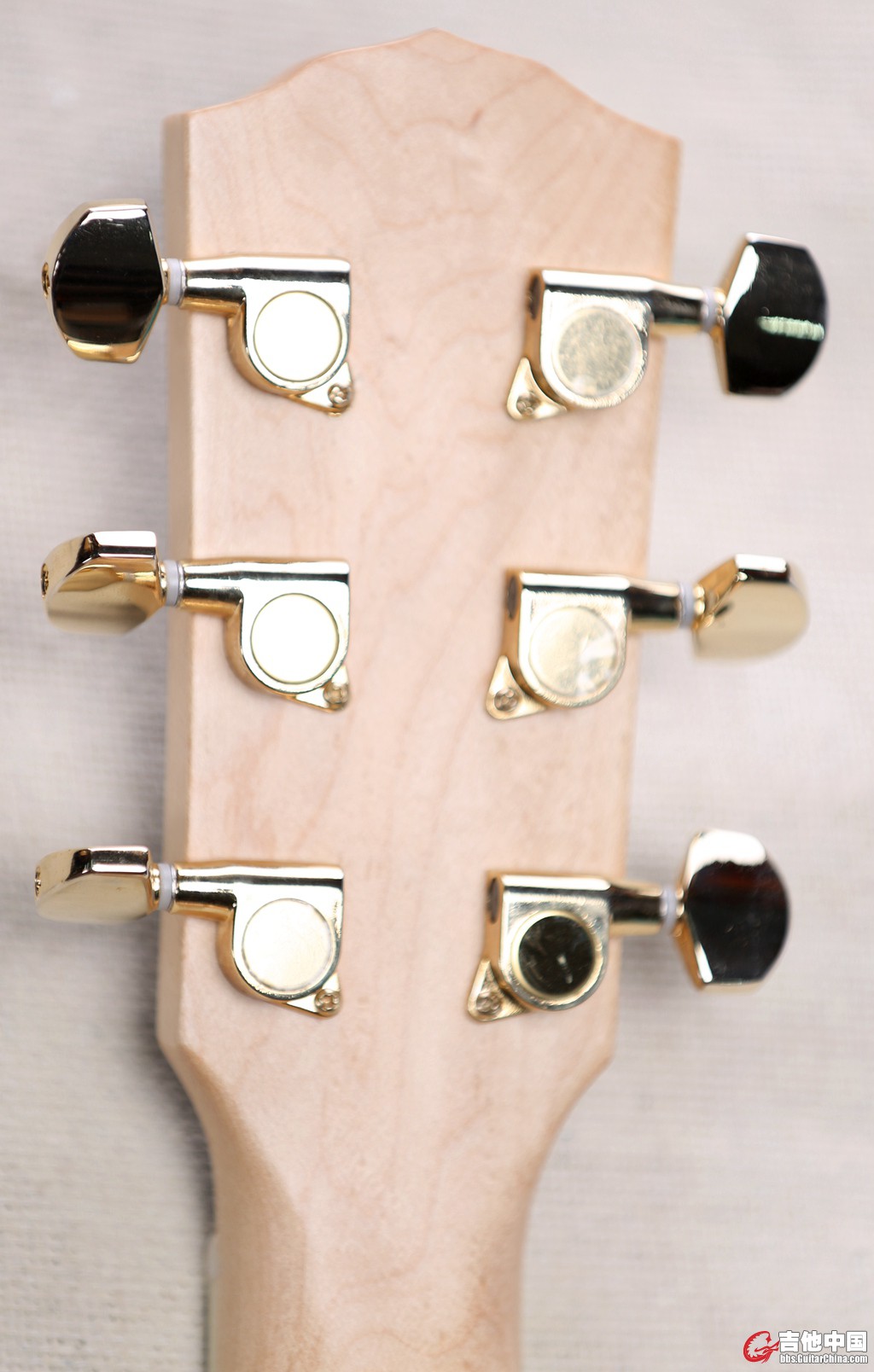 fender (20).jpg