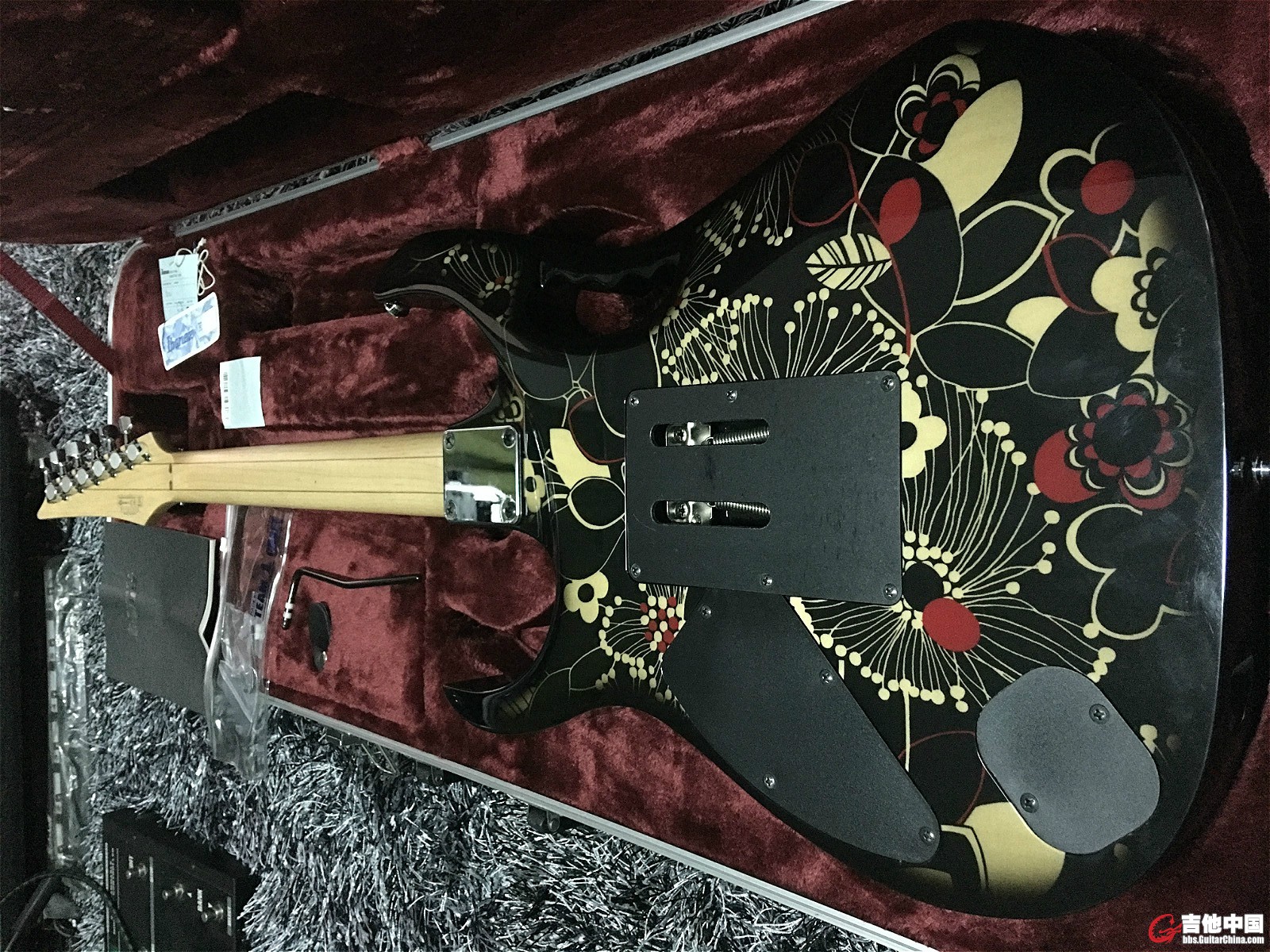 ibanez 3_.jpg