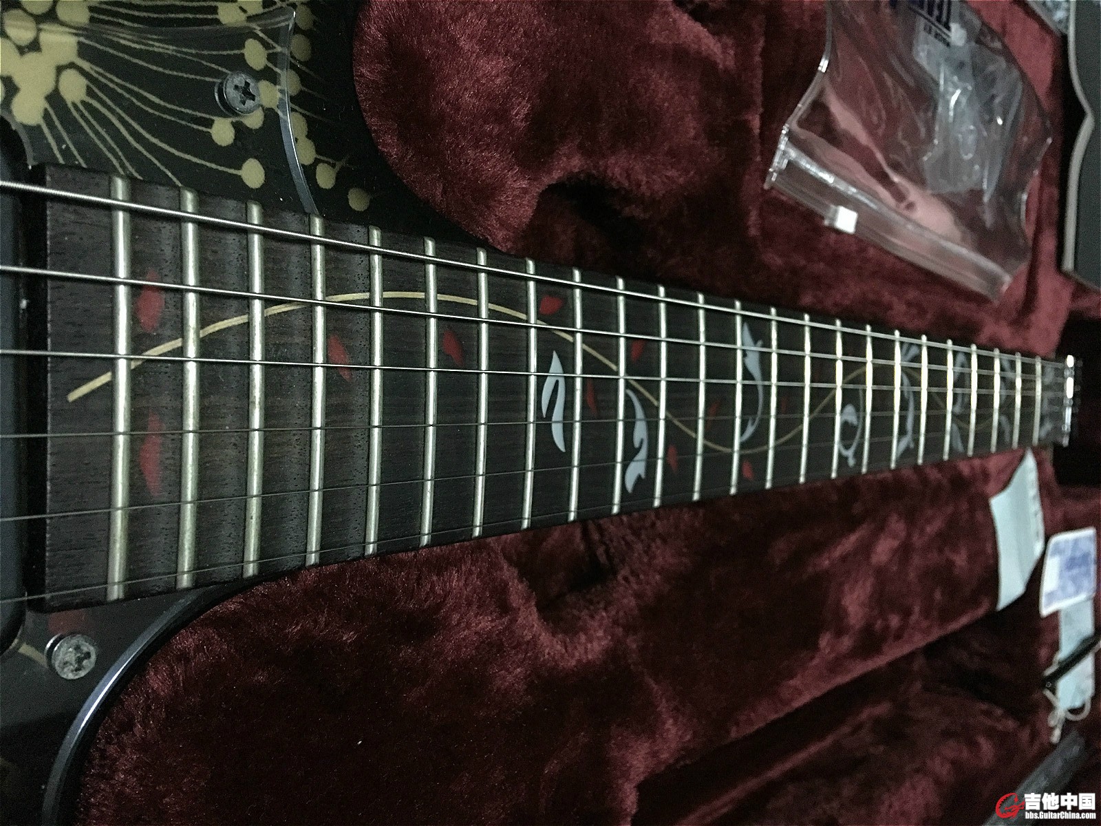 ibanez 2_.jpg