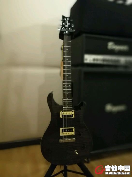 PRS SE 01.jpg