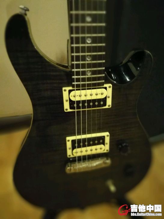 PRS SE 02.jpg