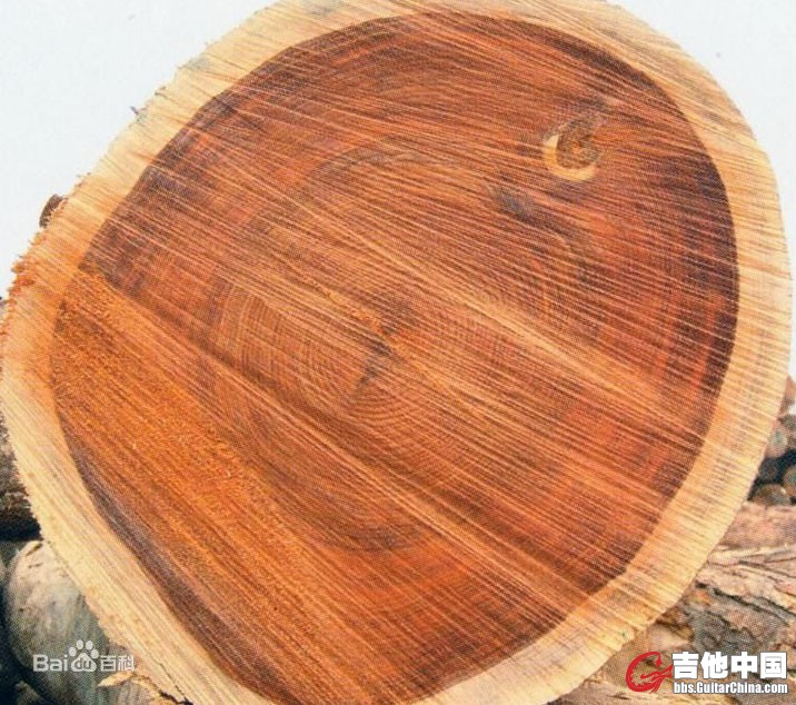 南美小叶黑檀