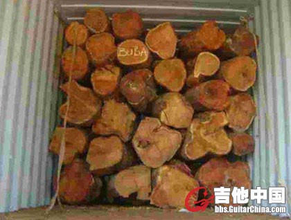 亚马逊黄檀