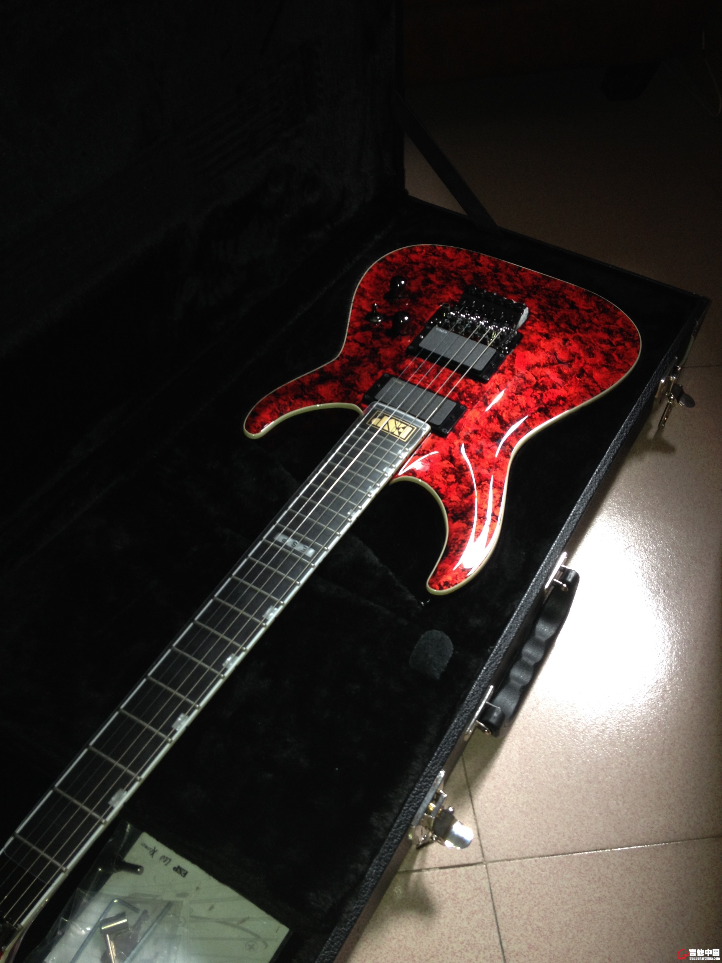 ESP ibanezIMG_1452.JPG