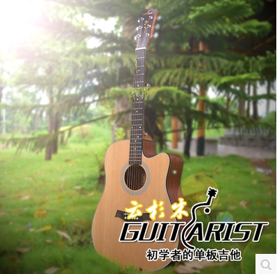 Guitarist单板