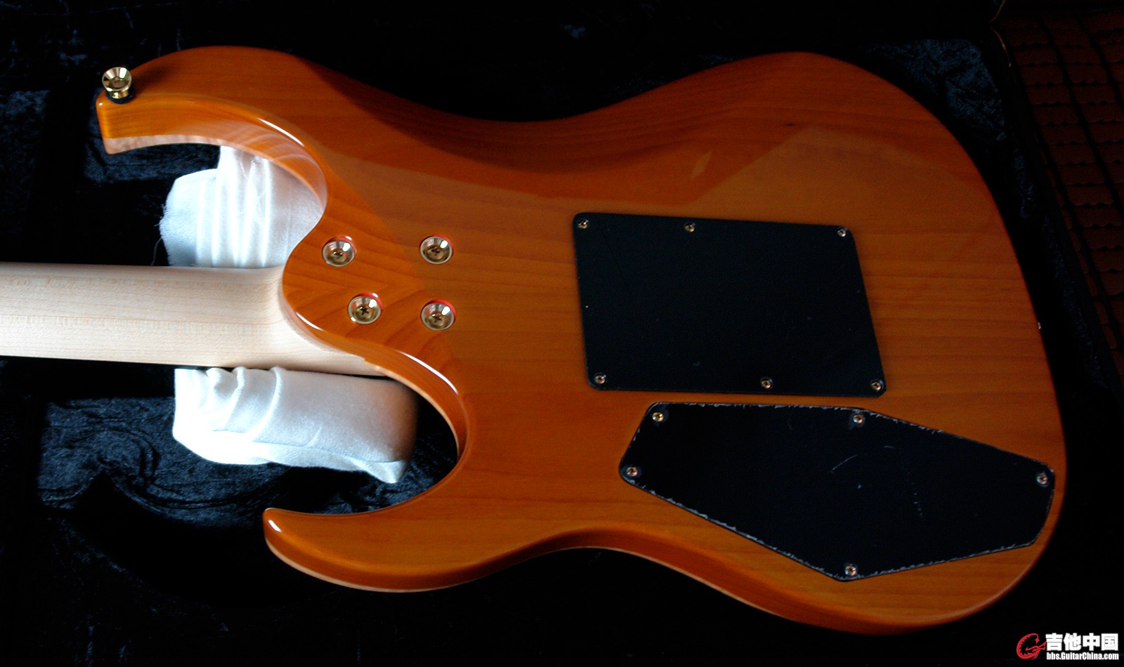 Dean USA Custom Shop Michael Angelo_5.jpg