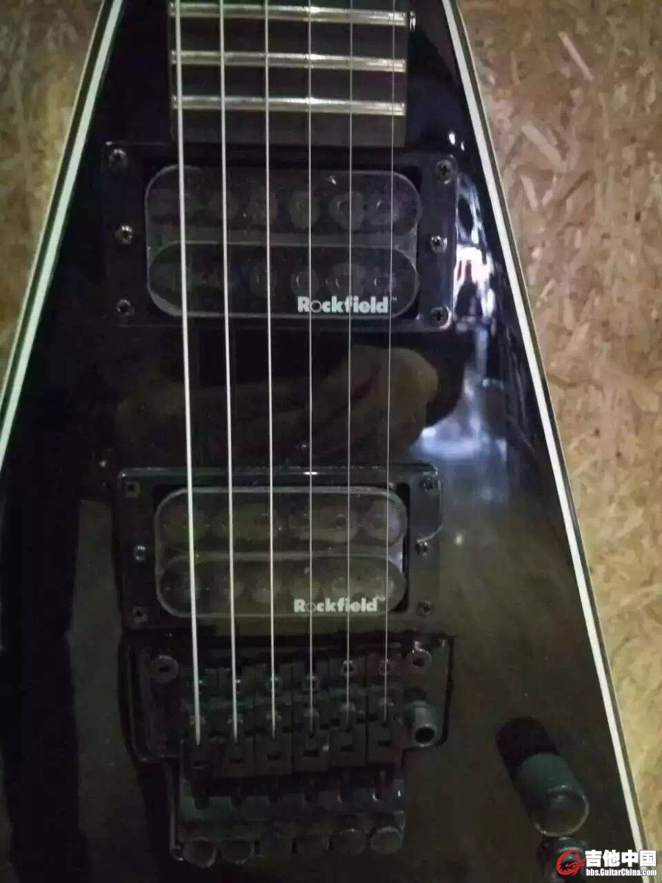 Bc.Rich Jr.V Standard 背面.jpg