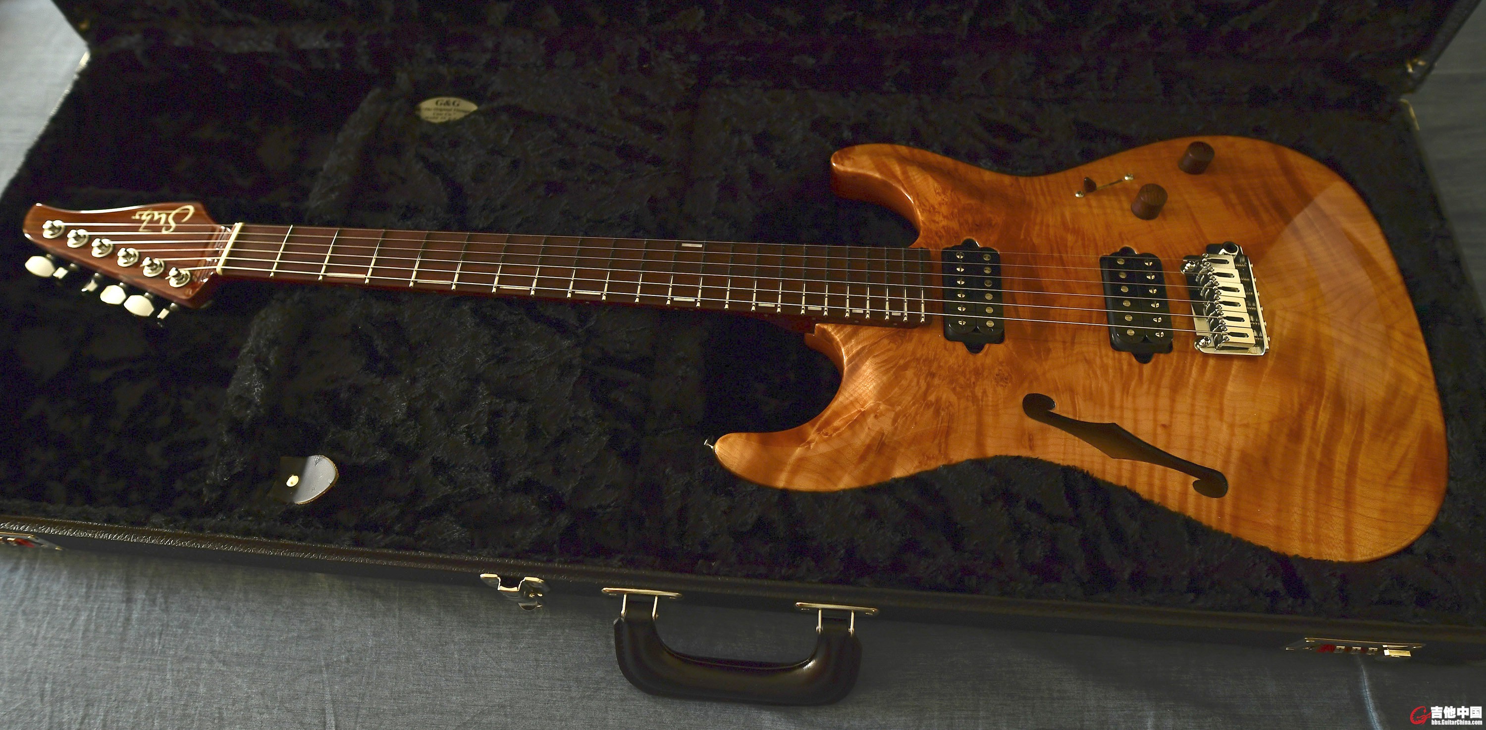 Suhr Archtop_1.jpg