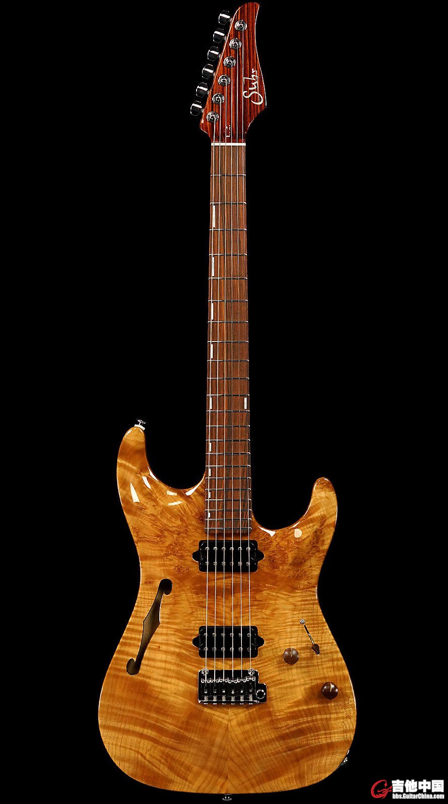 Suhr Archtop_2.jpg