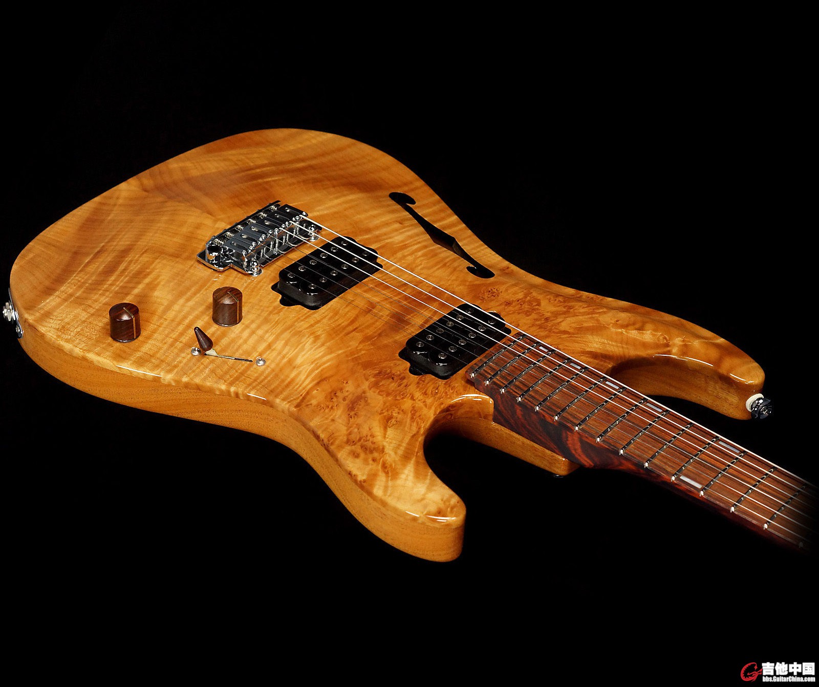 Suhr Archtop_7.jpg