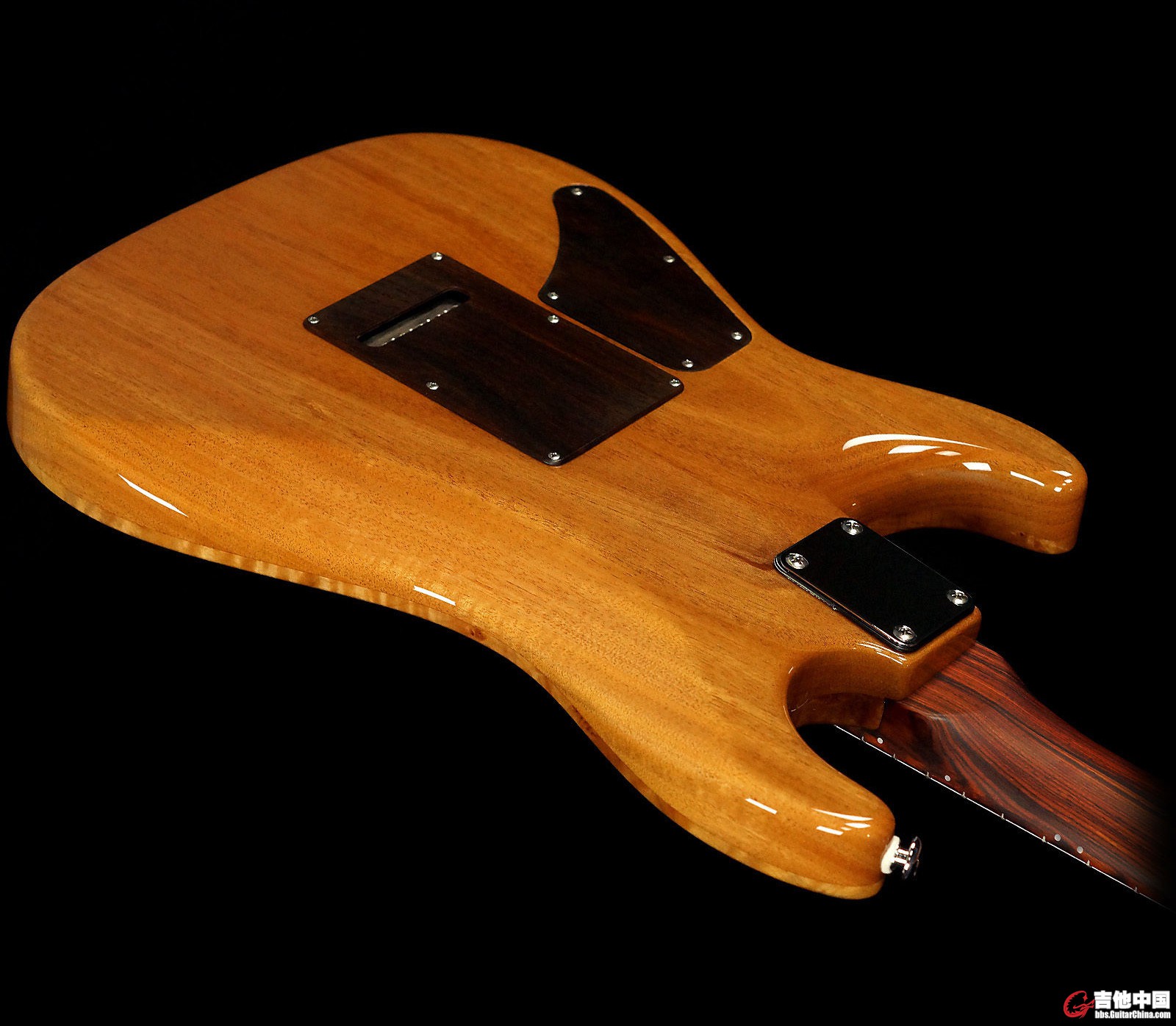 Suhr Archtop_8.jpg