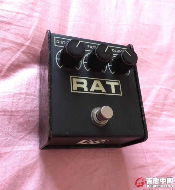 rat2正面.jpg