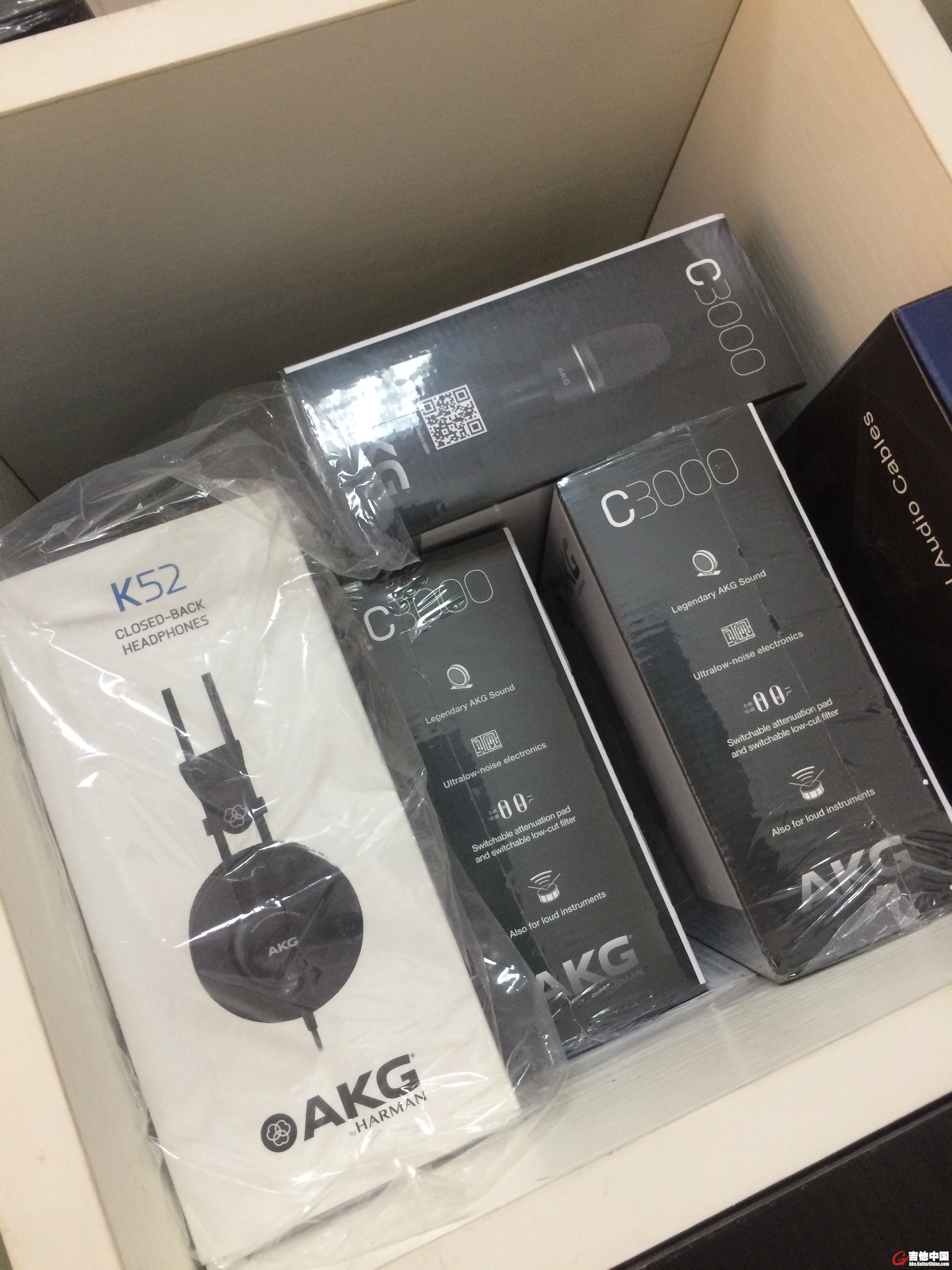 AKG C3000