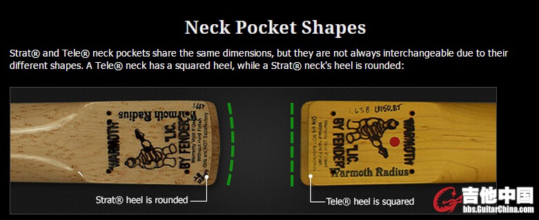 Neck Pocket Shapes 1.jpg