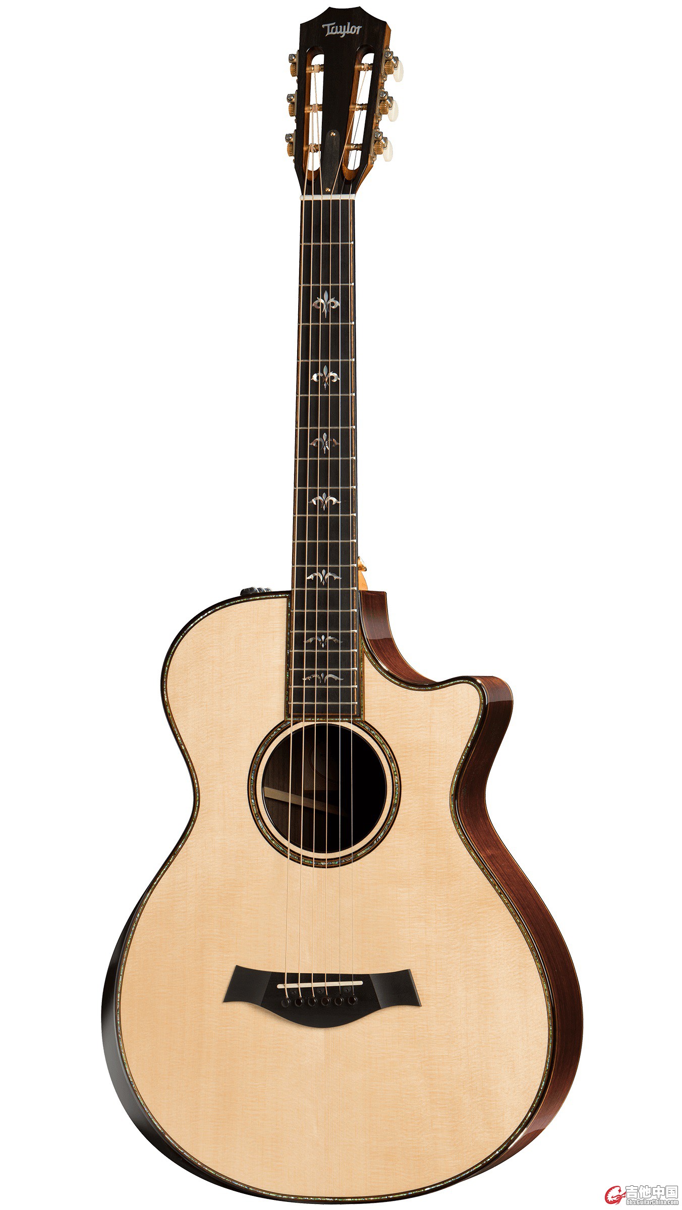 Taylor-912ce-TF-fr-2015.jpg